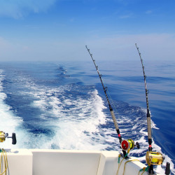 fishing & snorkeling tour Sorrento