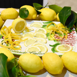 limoni-di-sorrento