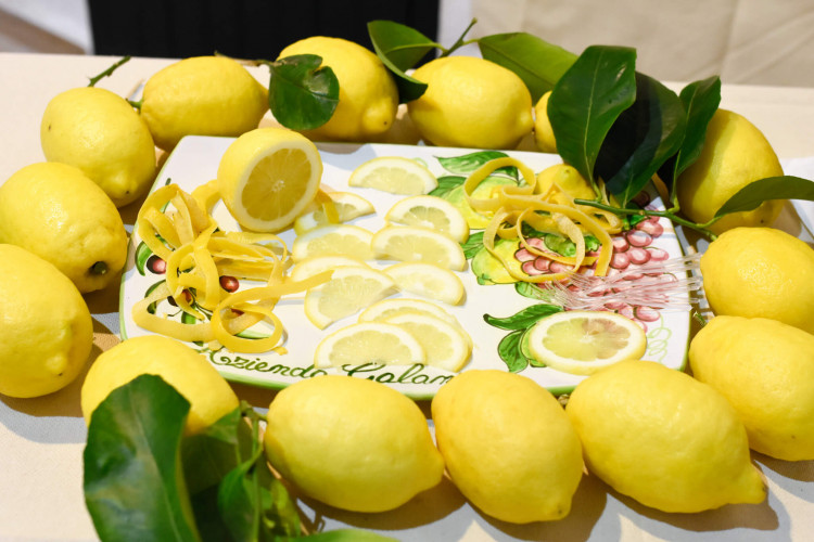 limoni-di-sorrento